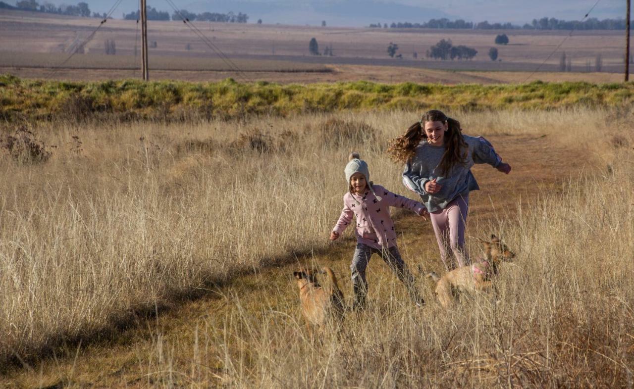 Amohela Ho Spitskop Country Retreat & Conservancy Ficksburg Eksteriør billede